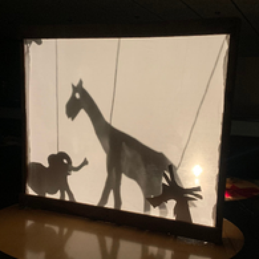_TALLER DE SOMBRAS